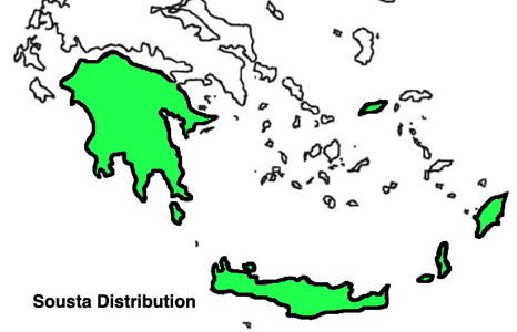 Cretan Sousta Distributioon