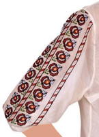 Embroidered Sleeve