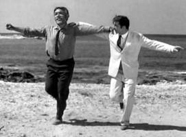 Zorba Quinn